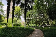 七八年(七八年属马的2023年运势如何)