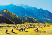 祁连山股票(祁连山重组后目标价)