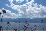 去大理(去大理飞机坐到哪里比较好)