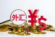 人民币被低估外汇(外汇利率互换人民币)