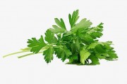 芹菜叶子(芹菜叶子怎么做好吃)