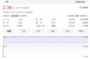 起步股份(起步股份有限公司)
