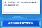 青年发展规划(中长期青年发展规划)