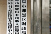 青岛财政(青岛财政局非税缴费)