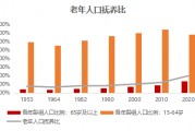 人口抚养比(人口抚养比高好还是低好)