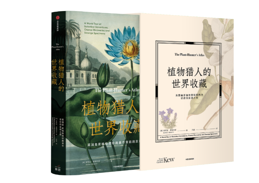 人类我们的故事(人类我们的故事 央视)