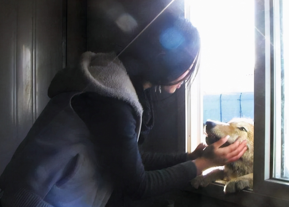 犬齿之家(犬齿之家未删减磁力下载)
