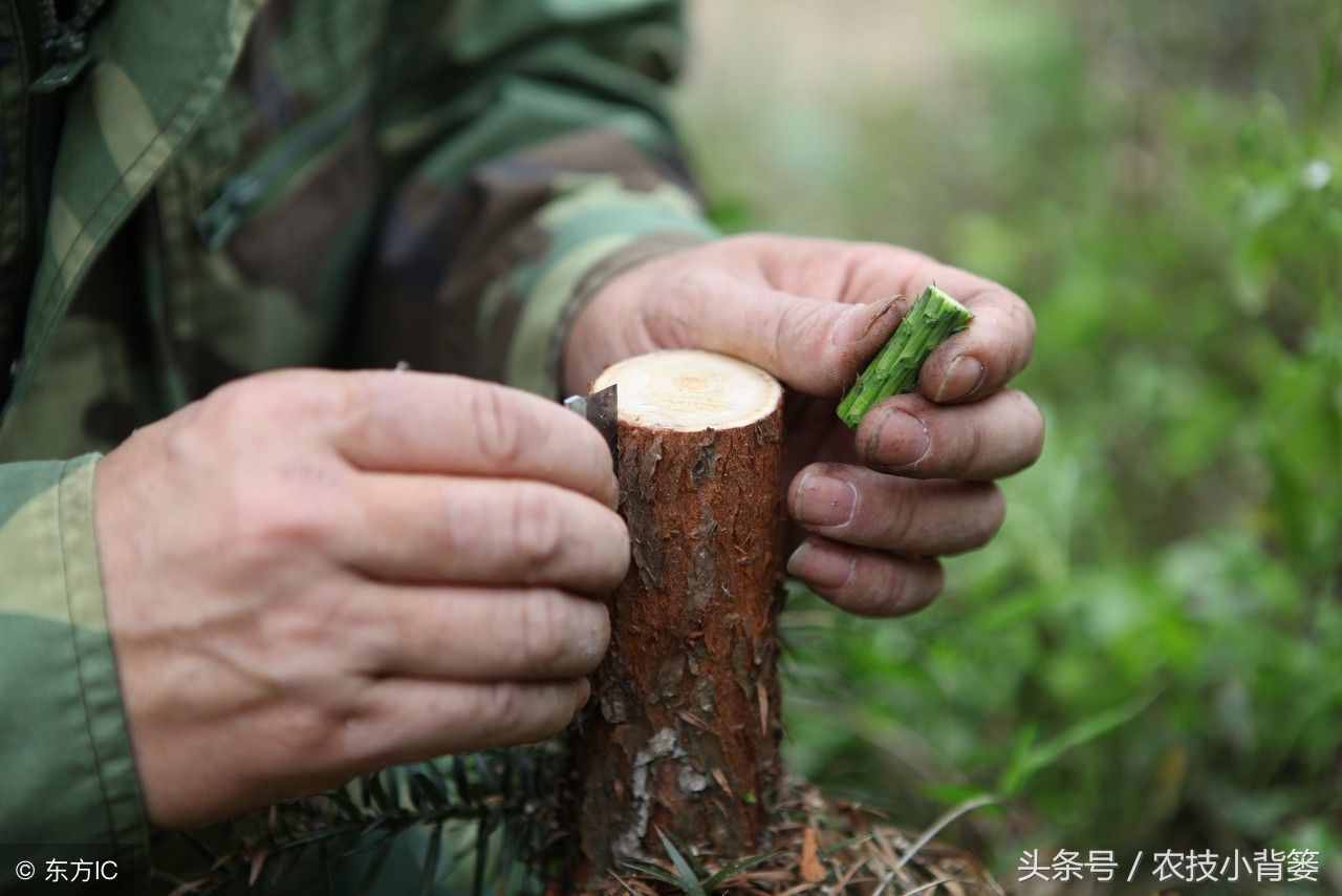 亲合力(亲合力生物医药科技股份有限公司)