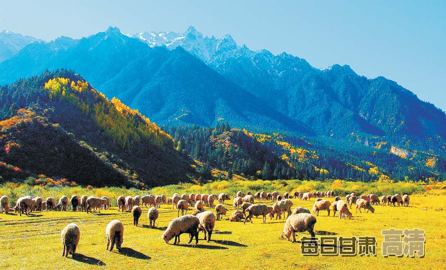 祁连山股票(祁连山重组后目标价)