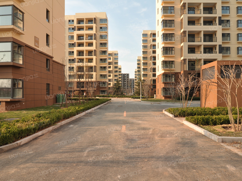 青岛以琳(青岛以琳学校)