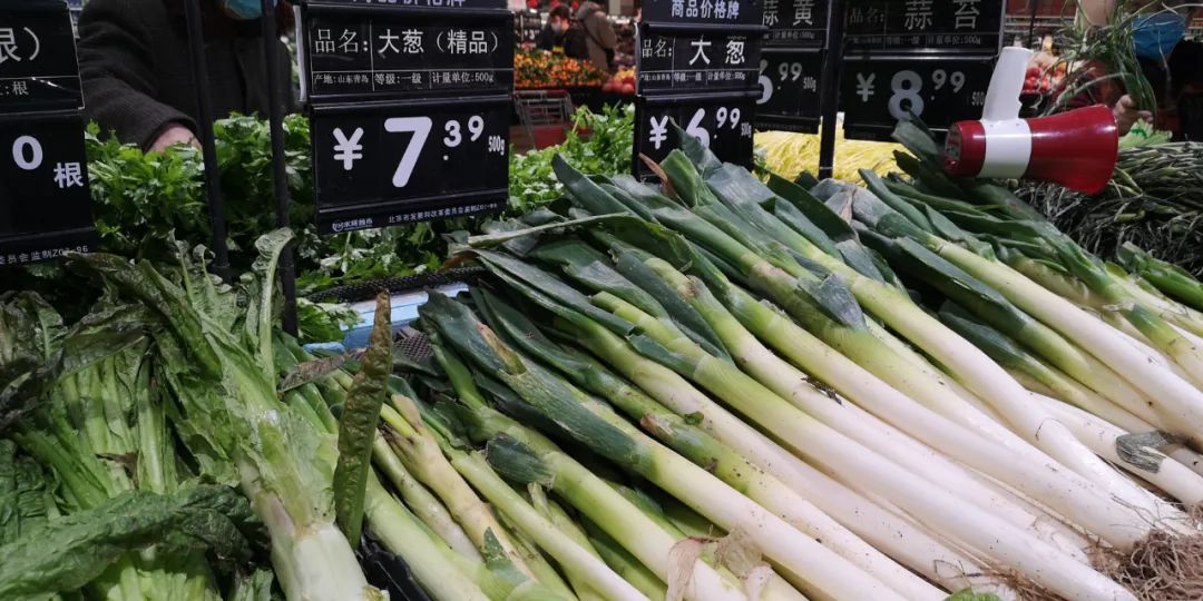 钱葱(钱葱普通话叫什么)