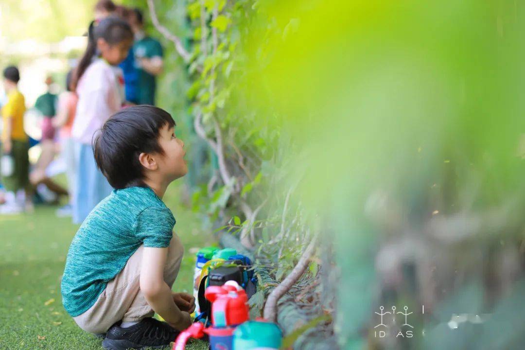 启行营地教育(启行营地教育官网)