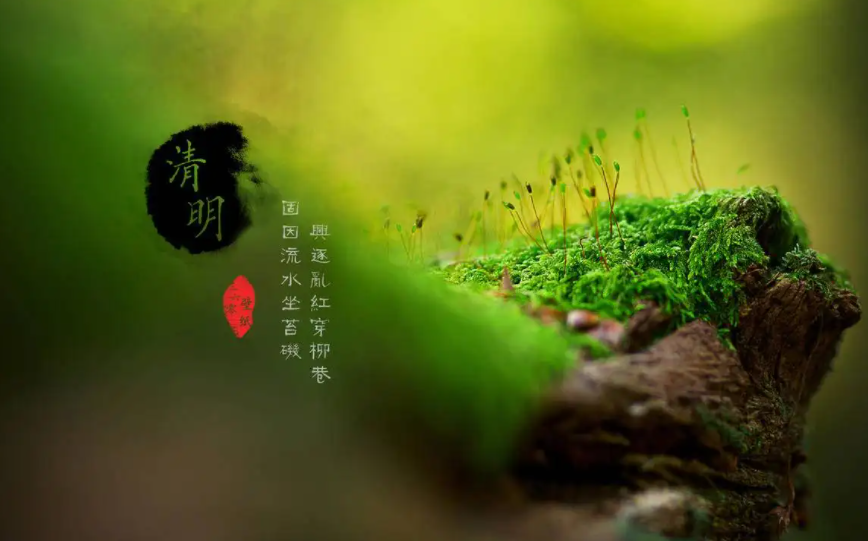 清明节休息(清明节休息2023)