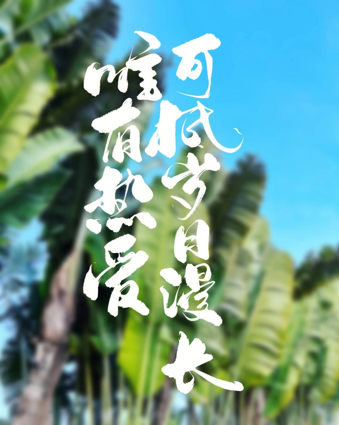 热爱自己(热爱自己热爱生活的文案)