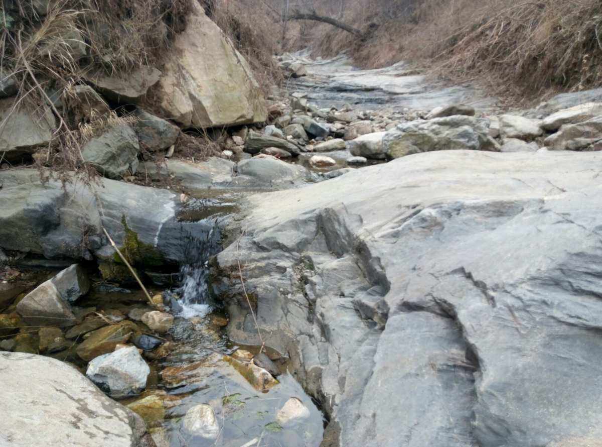 秦岭水泥(秦岭水泥厂现状)