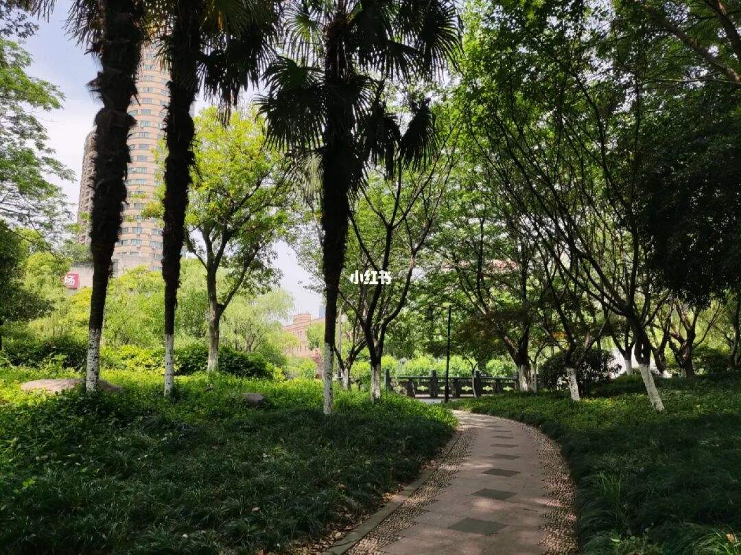 七八年(七八年属马的2023年运势如何)