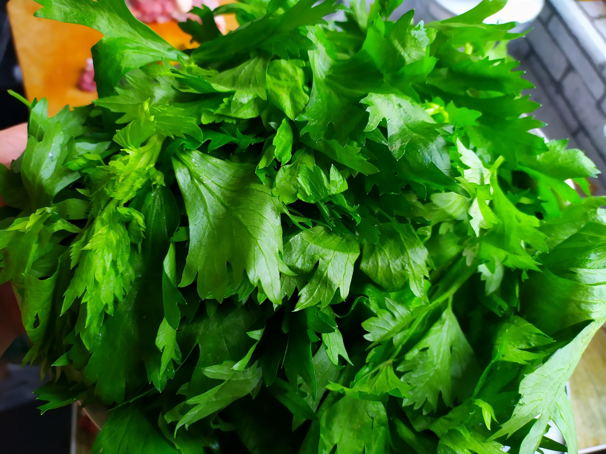 芹菜叶(芹菜叶子对人的危害)