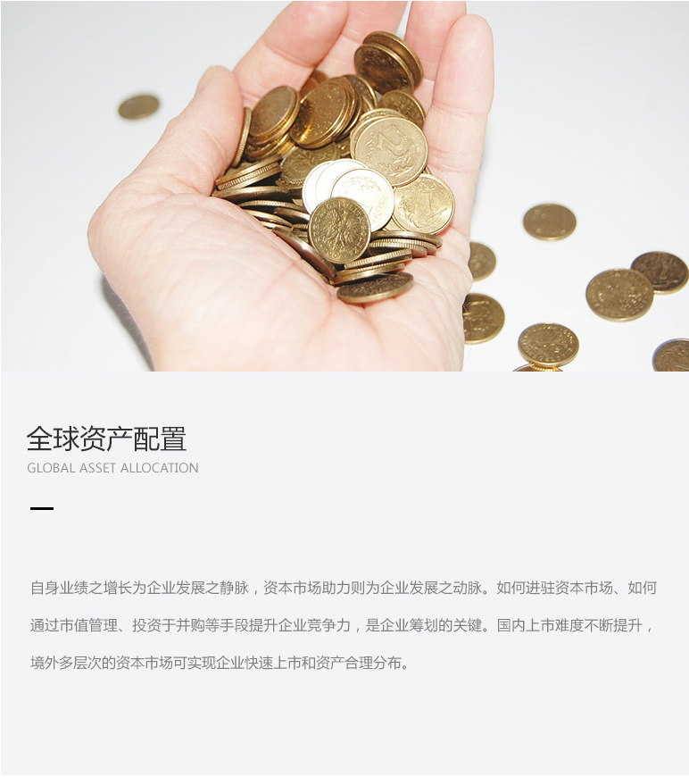 全球资产配置(全球资产配置沙龙项目骗局)
