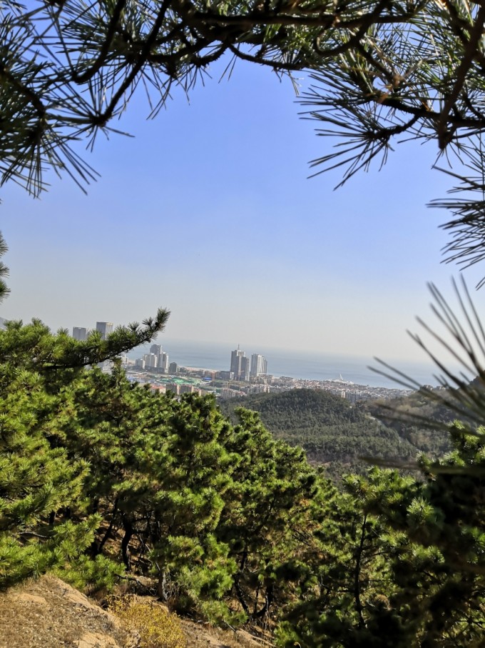 青岛浮山(青岛浮山森林公园)