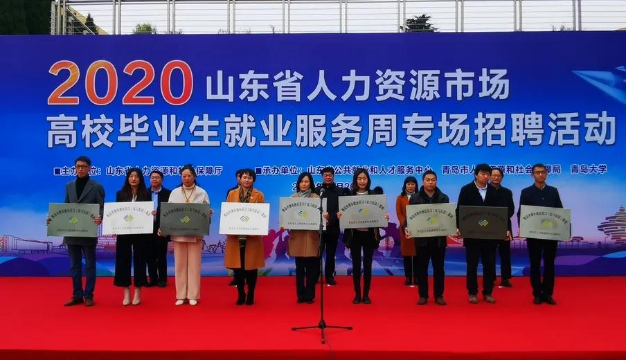 青岛人力(青岛人力资源和社会保障厅官网)