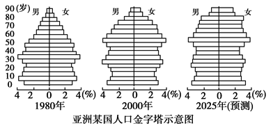 人口金字塔(人口金字塔的三种类型图)