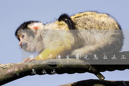 人民币日元中国银行(人民币日元中国银行汇率)