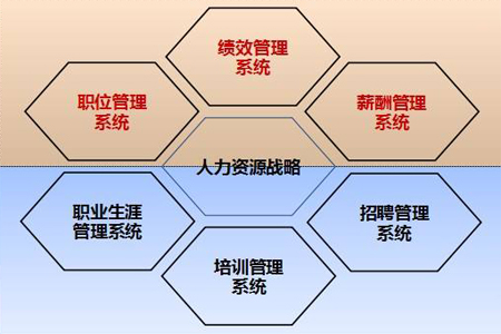 人力资源是干啥的(人力资源是干啥的啊)
