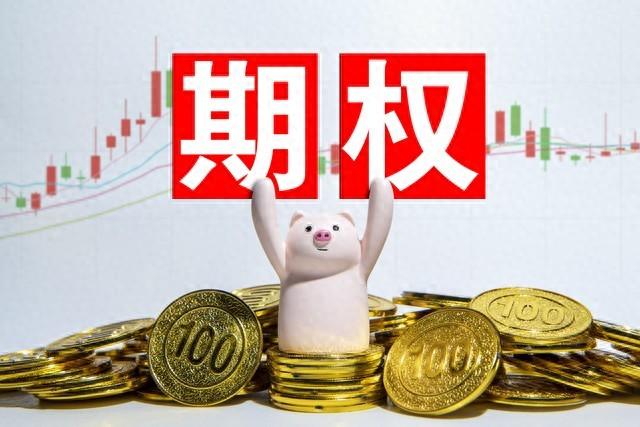 期权网(期权网格交易)