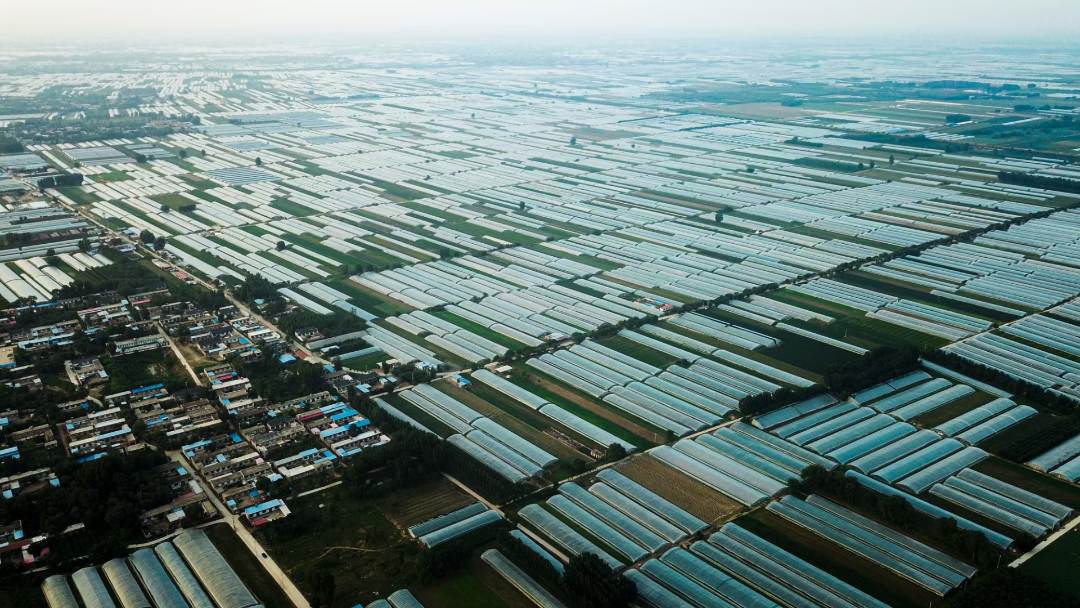 饶阳(饶阳县属于哪个省哪个市)