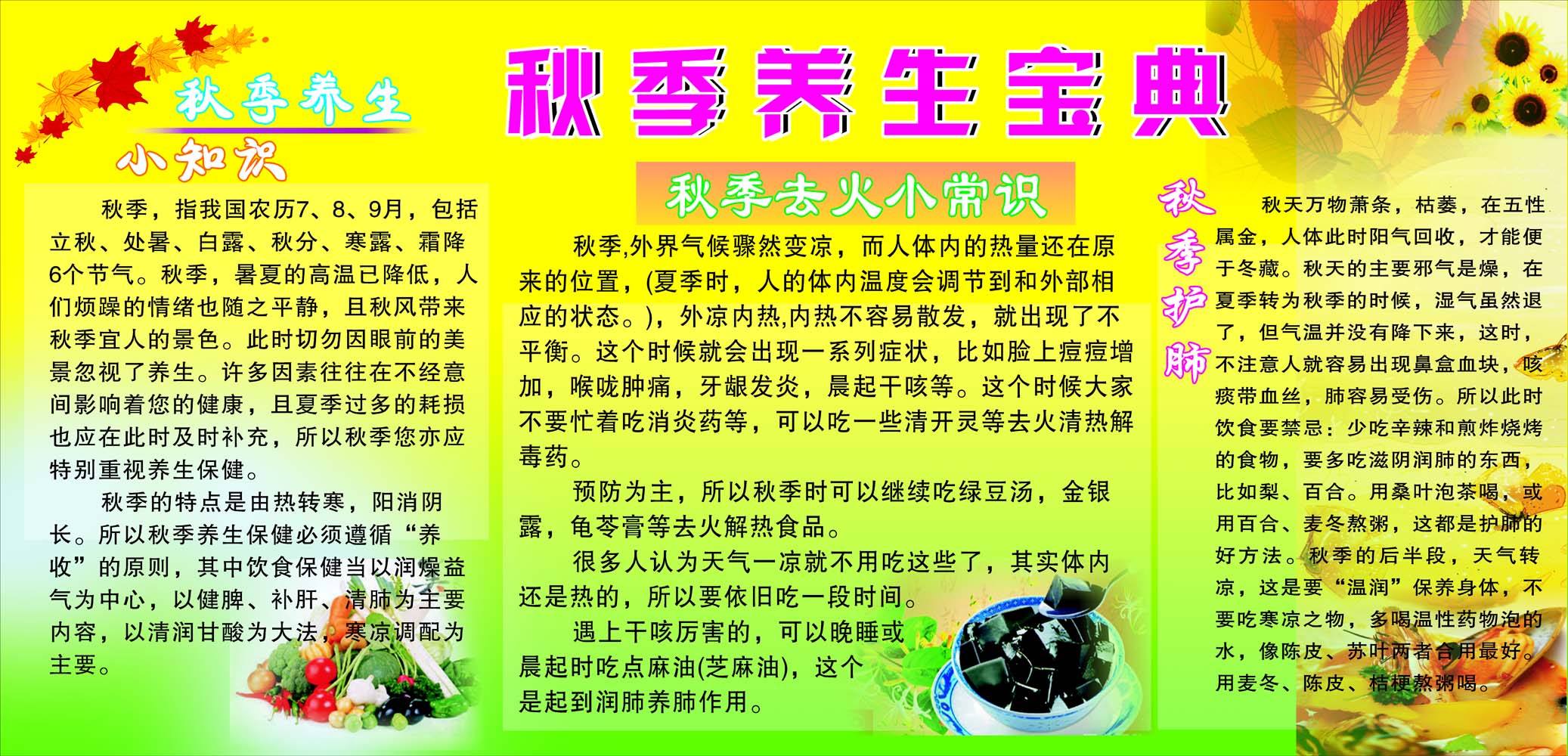 秋季如何养生(秋季如何养生视频)