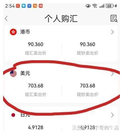 人民币美元购汇(人民币美元购汇价格和汇率一样吗)