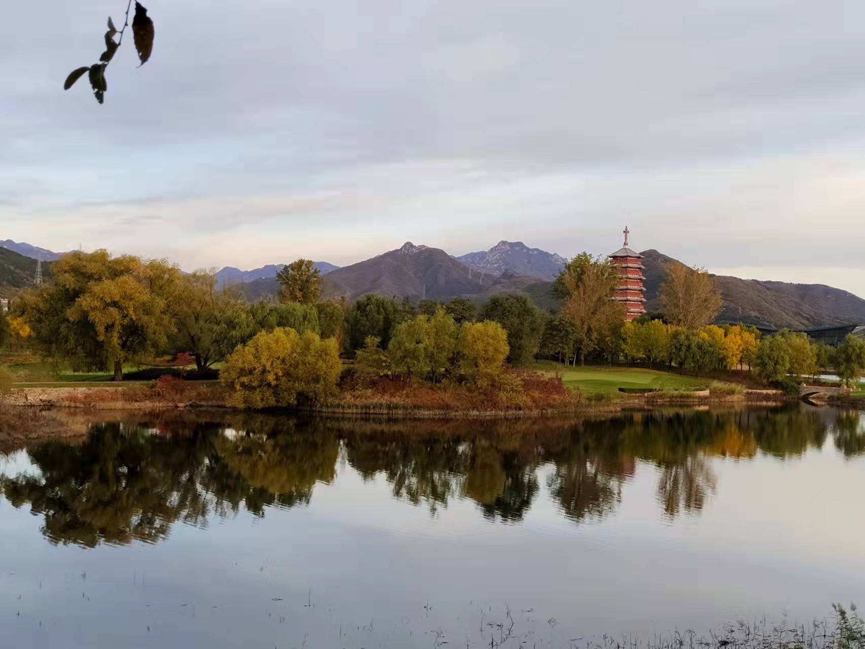 清华贫困生树洞刷屏(清华对贫困生有优惠吗)